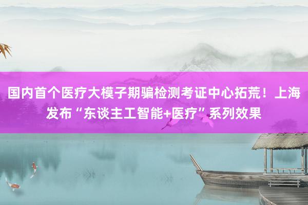 国内首个医疗大模子期骗检测考证中心拓荒！上海发布“东谈主工智能+医疗”系列效果