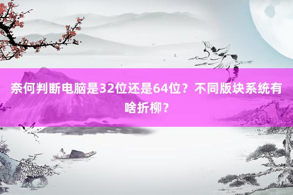 奈何判断电脑是32位还是64位？不同版块系统有啥折柳？