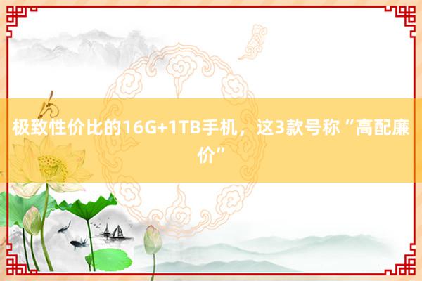 极致性价比的16G+1TB手机，这3款号称“高配廉价”