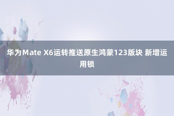 华为Ｍate X6运转推送原生鸿蒙123版块 新增运用锁