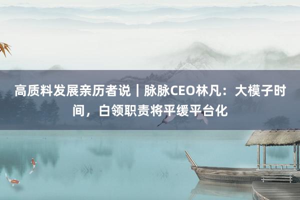 高质料发展亲历者说｜脉脉CEO林凡：大模子时间，白领职责将平缓平台化