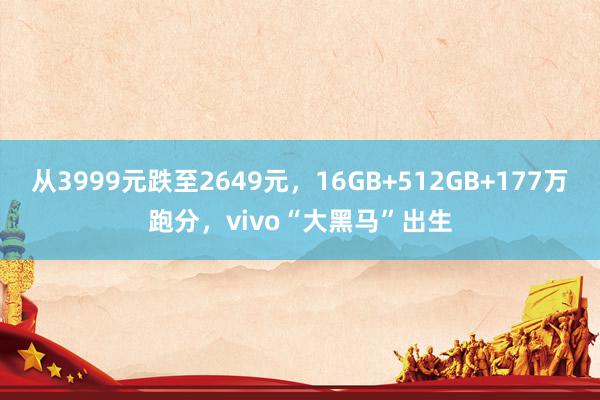 从3999元跌至2649元，16GB+512GB+177万跑分，vivo“大黑马”出生