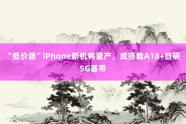 “低价版”iPhone新机将量产，或搭载A18+自研5G基带