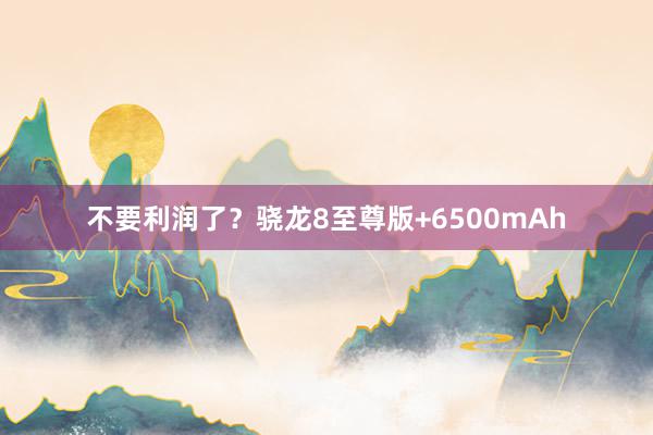 不要利润了？骁龙8至尊版+6500mAh