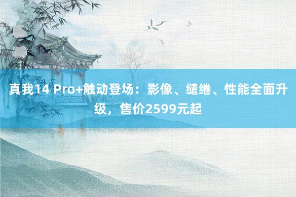 真我14 Pro+触动登场：影像、缱绻、性能全面升级，售价2599元起