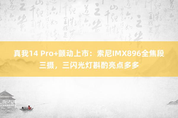 真我14 Pro+颤动上市：索尼IMX896全焦段三摄，三闪光灯斟酌亮点多多