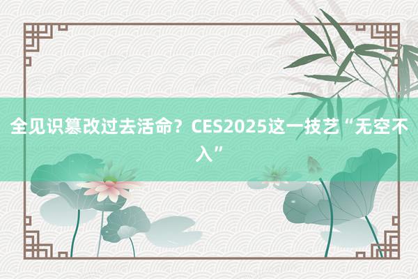 全见识篡改过去活命？CES2025这一技艺“无空不入”