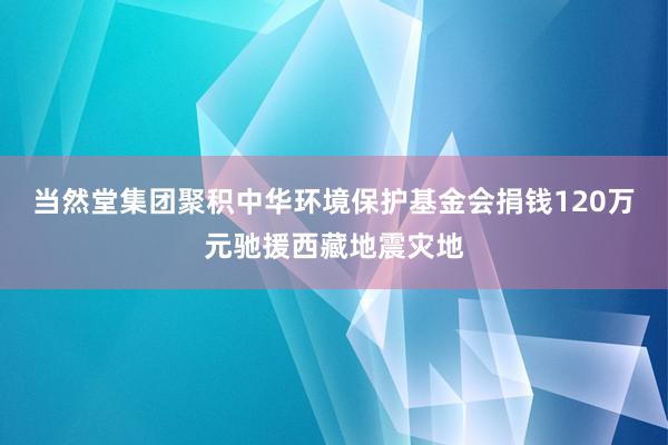 当然堂集团聚积中华环境保护基金会捐钱120万元驰援西藏地震灾地