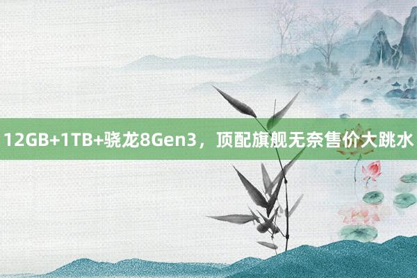 12GB+1TB+骁龙8Gen3，顶配旗舰无奈售价大跳水