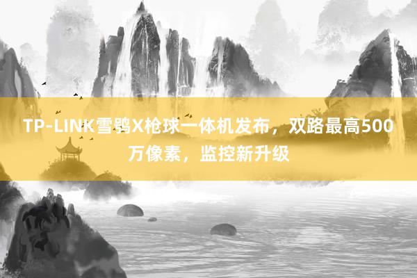 TP-LINK雪鸮X枪球一体机发布，双路最高500万像素，监控新升级