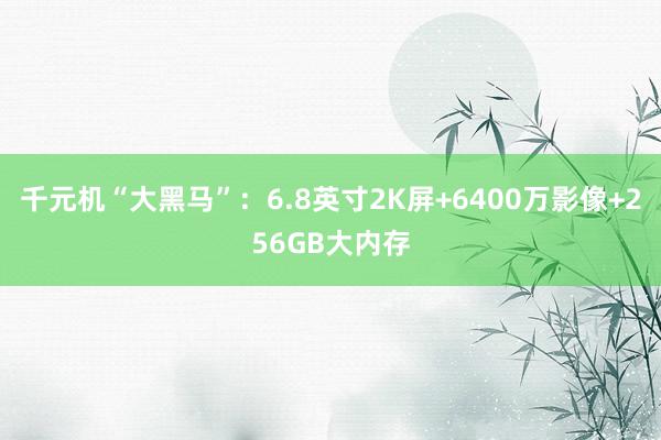 千元机“大黑马”：6.8英寸2K屏+6400万影像+256GB大内存