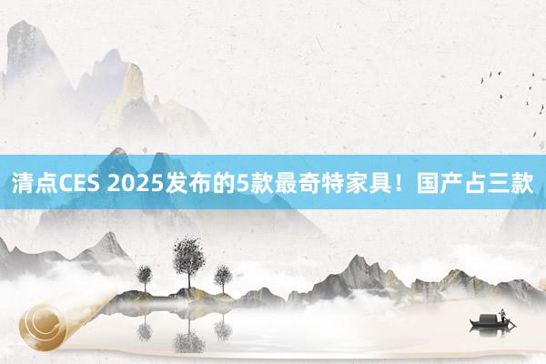 清点CES 2025发布的5款最奇特家具！国产占三款