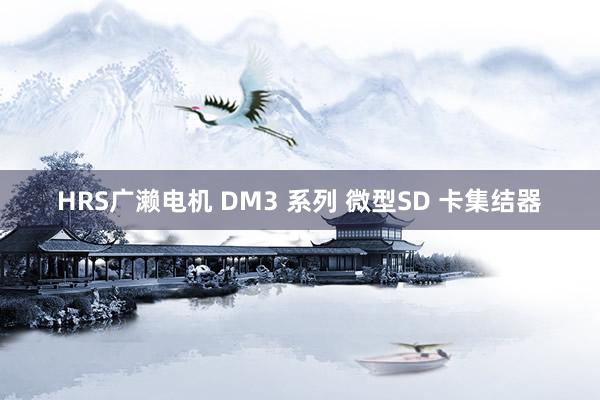 HRS广濑电机 DM3 系列 微型SD 卡集结器