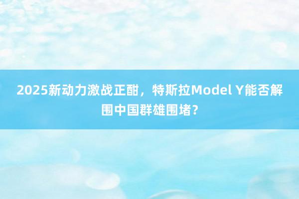 2025新动力激战正酣，特斯拉Model Y能否解围中国群雄围堵？