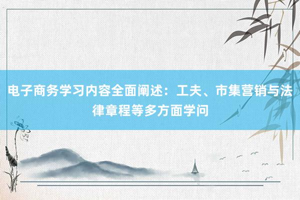 电子商务学习内容全面阐述：工夫、市集营销与法律章程等多方面学问