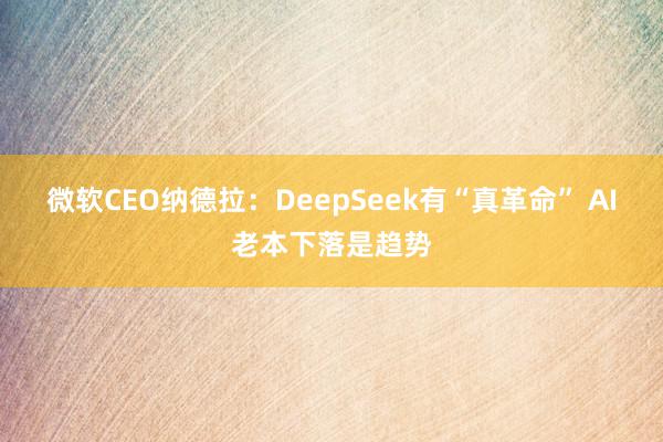 微软CEO纳德拉：DeepSeek有“真革命” AI老本下落是趋势