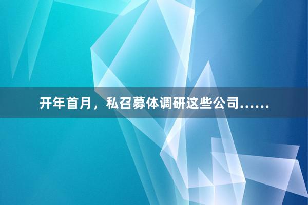 开年首月，私召募体调研这些公司……