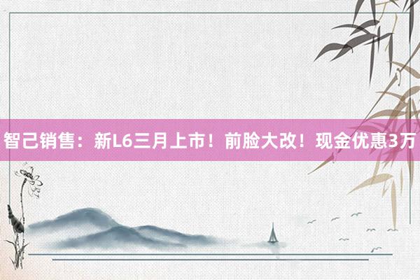 智己销售：新L6三月上市！前脸大改！现金优惠3万