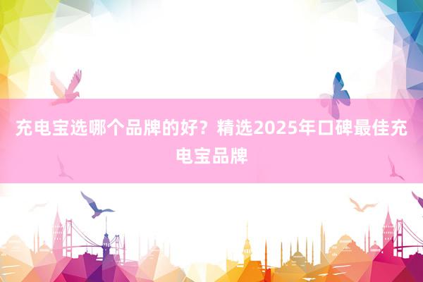 充电宝选哪个品牌的好？精选2025年口碑最佳充电宝品牌