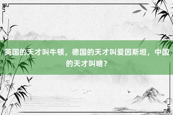 英国的天才叫牛顿，德国的天才叫爱因斯坦，中国的天才叫啥？