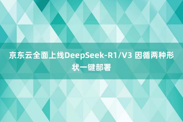 京东云全面上线DeepSeek-R1/V3 因循两种形状一键部署