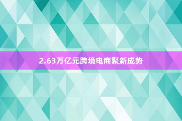 2.63万亿元　跨境电商聚新成势