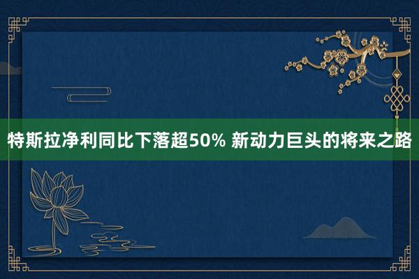 特斯拉净利同比下落超50% 新动力巨头的将来之路