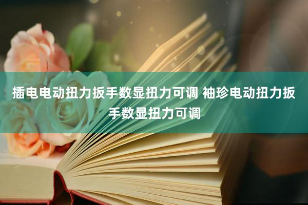 插电电动扭力扳手数显扭力可调 袖珍电动扭力扳手数显扭力可调