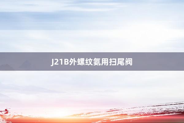 J21B外螺纹氨用扫尾阀